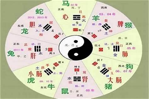 一字五行属什么|如何判断汉字的五行